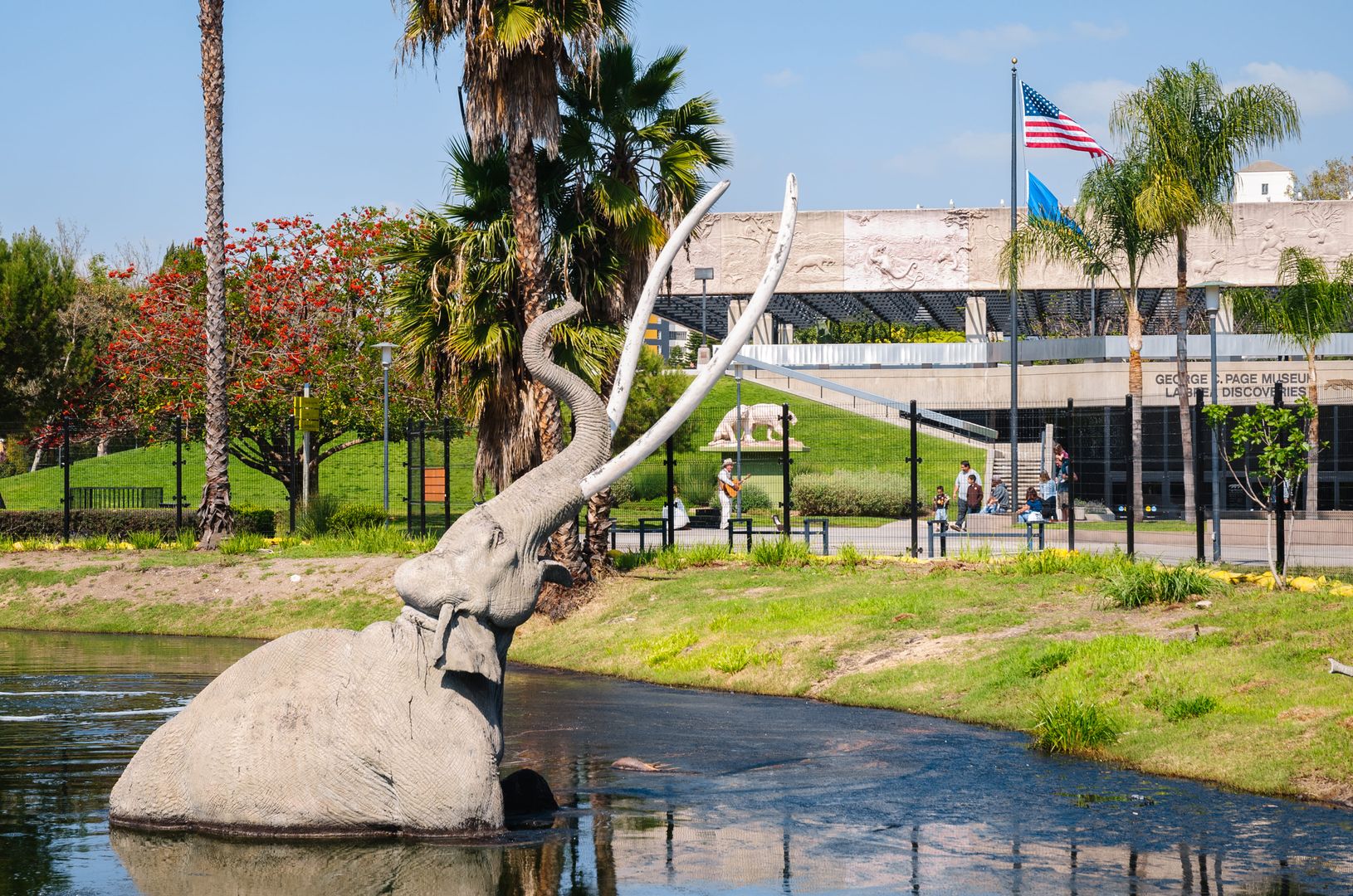 la brea los angeles museum